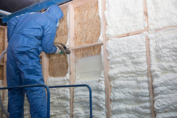 Types of Insulation We Offer in Port Allen, LA